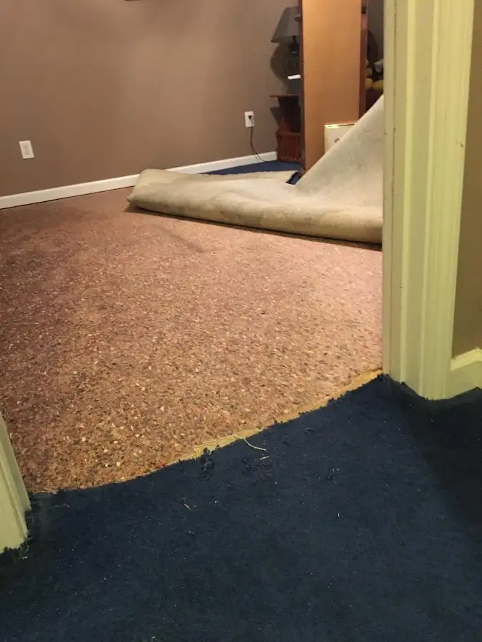 Carpet pad removal revealing water damage during Drying & Dehumidification in Wyandotte