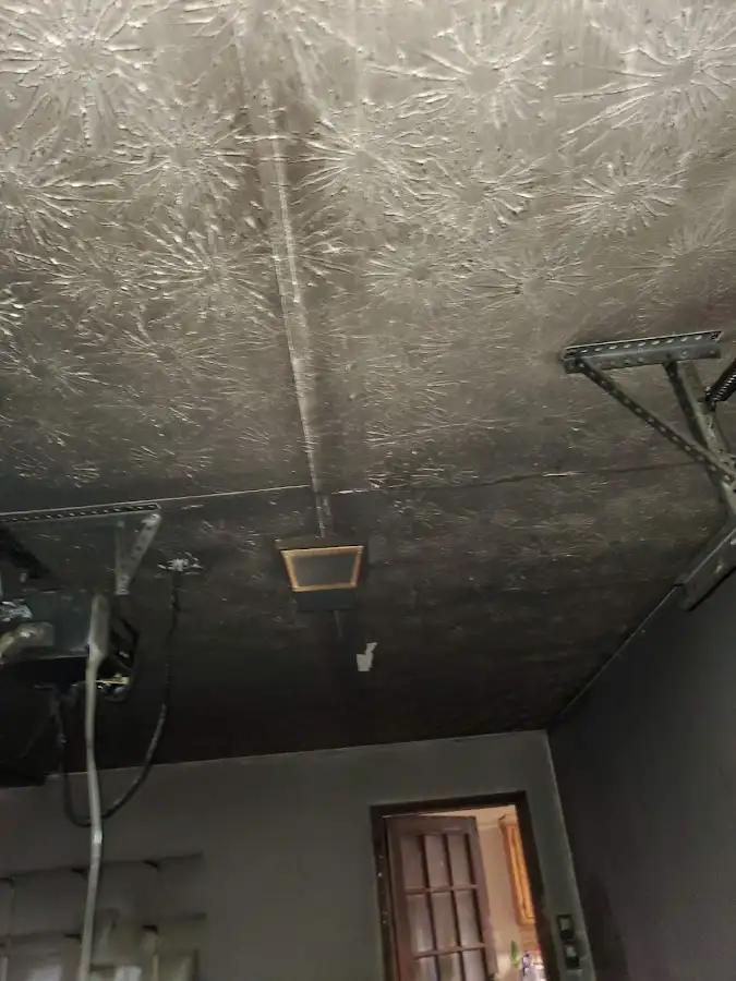 Fire and smoke damage assessment for Water Damage Assessment in Wyandotte