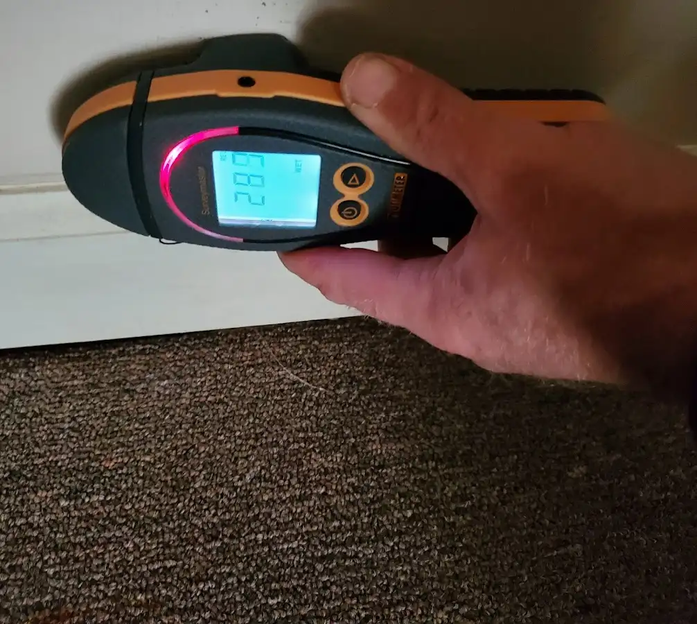 Moisture detection at baseboard during Sewage Cleanup & Sanitation in Wyandotte